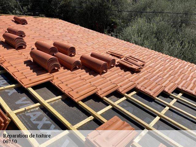Réparation de toiture  06750