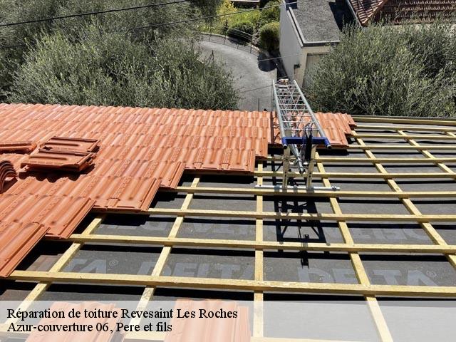Réparation de toiture  revesaint-les-roches-06830 Dumas Toiture