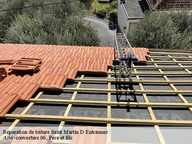 Réparation de toiture  saint-martin-d-entraunes-06470 Dumas Toiture