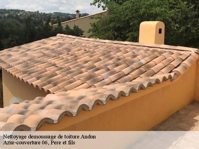 Nettoyage demoussage de toiture  andon-06750 Dumas Toiture