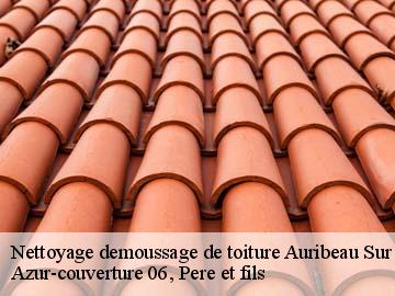 Nettoyage demoussage de toiture