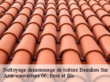 Nettoyage demoussage de toiture