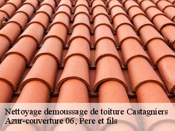 Nettoyage demoussage de toiture