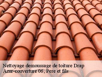 Nettoyage demoussage de toiture