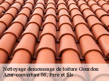 Nettoyage demoussage de toiture