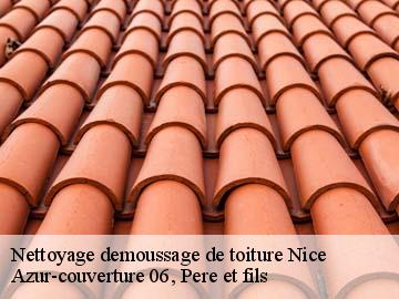 Nettoyage demoussage de toiture