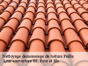 Nettoyage demoussage de toiture