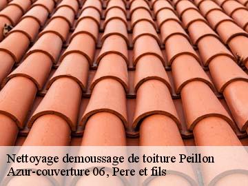 Nettoyage demoussage de toiture