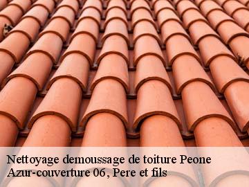 Nettoyage demoussage de toiture