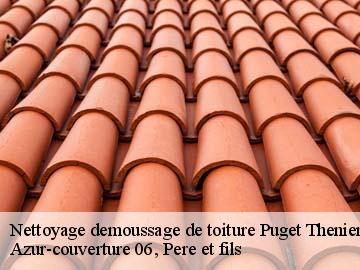 Nettoyage demoussage de toiture