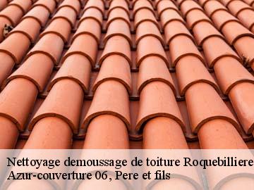 Nettoyage demoussage de toiture