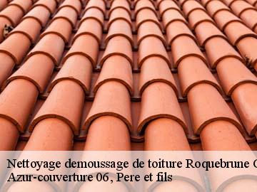 Nettoyage demoussage de toiture