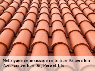 Nettoyage demoussage de toiture