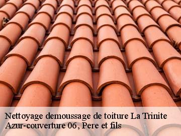 Nettoyage demoussage de toiture