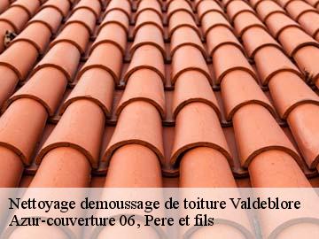 Nettoyage demoussage de toiture