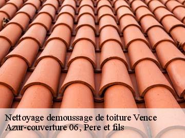 Nettoyage demoussage de toiture