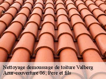 Nettoyage demoussage de toiture