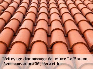 Nettoyage demoussage de toiture