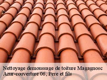 Nettoyage demoussage de toiture