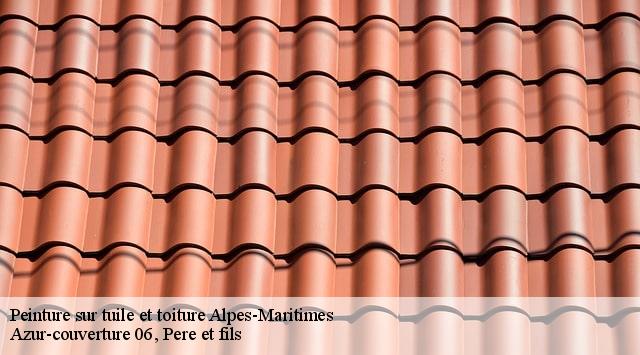 Peinture sur tuile et toiture 06 Alpes-Maritimes  Dumas Toiture