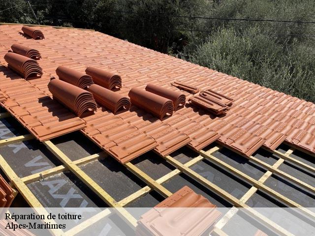 Réparation de toiture Alpes-Maritimes