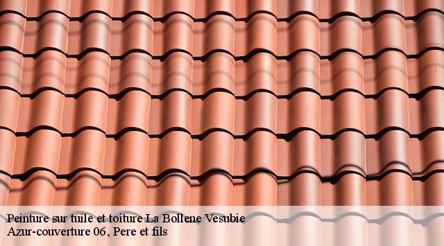 Peinture sur tuile et toiture  la-bollene-vesubie-06450 Dumas Toiture