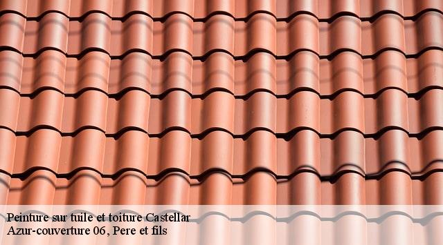 Peinture sur tuile et toiture  castellar-06500 Dumas Toiture