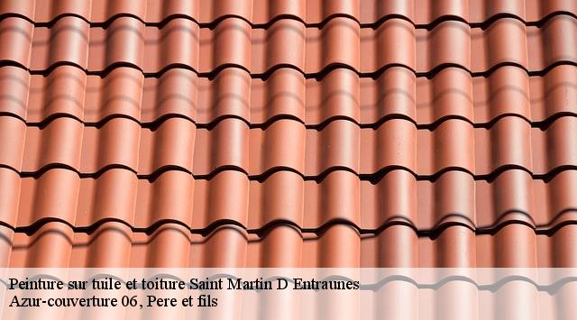 Peinture sur tuile et toiture  saint-martin-d-entraunes-06470 Dumas Toiture